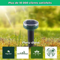Répulsif solaire ultrasonique anti-taupes (Lot de 2)