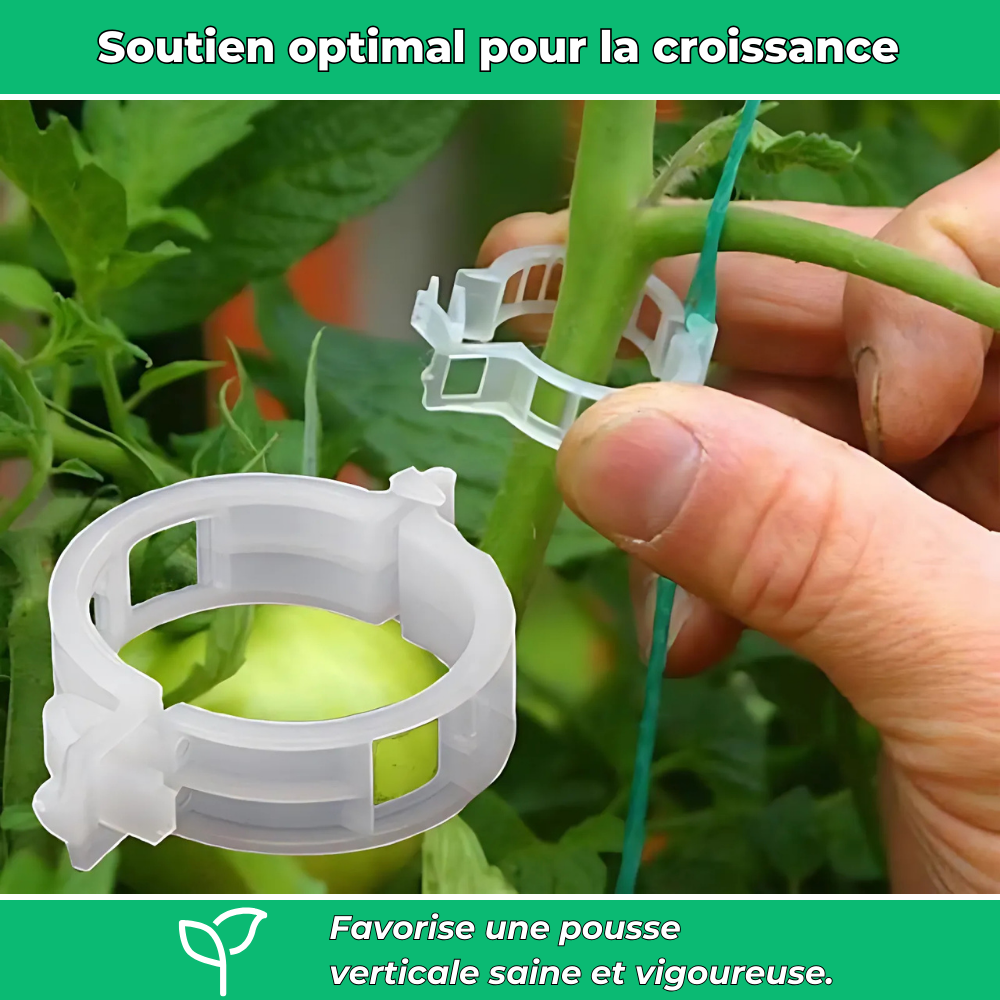 Lot de 25 Clips en Plastique Réutilisables – Pratiques pour Rangement et Organisation