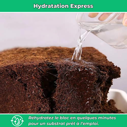 BioTerra Engrais Naturel Comprimé à Base de Coco et Neem – Fertilisation Écologique pour Plantes et Jardin