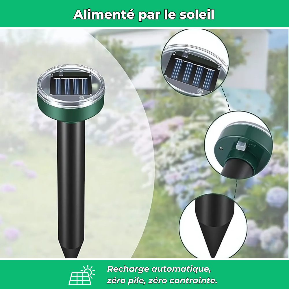 Répulsif solaire ultrasonique anti-taupes (Lot de 2)