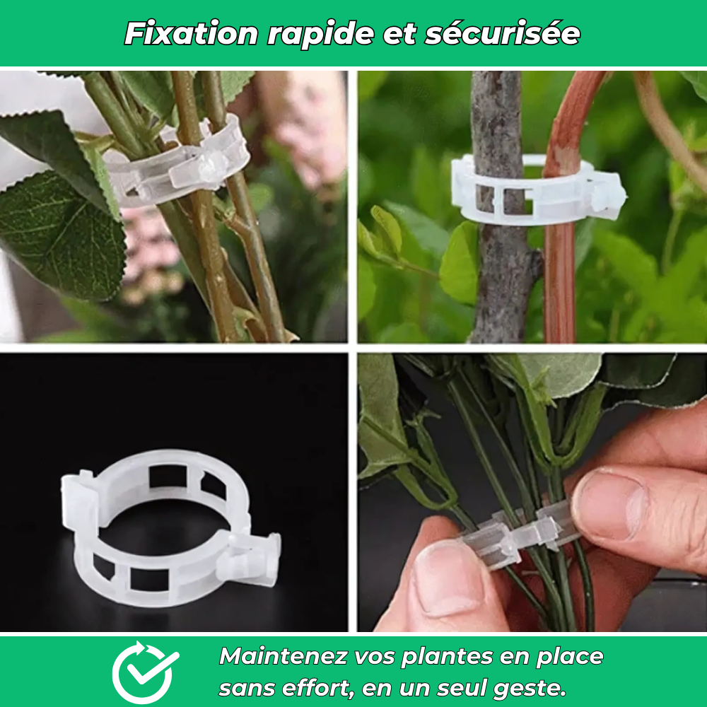 Lot de 25 Clips en Plastique Réutilisables – Pratiques pour Rangement et Organisation