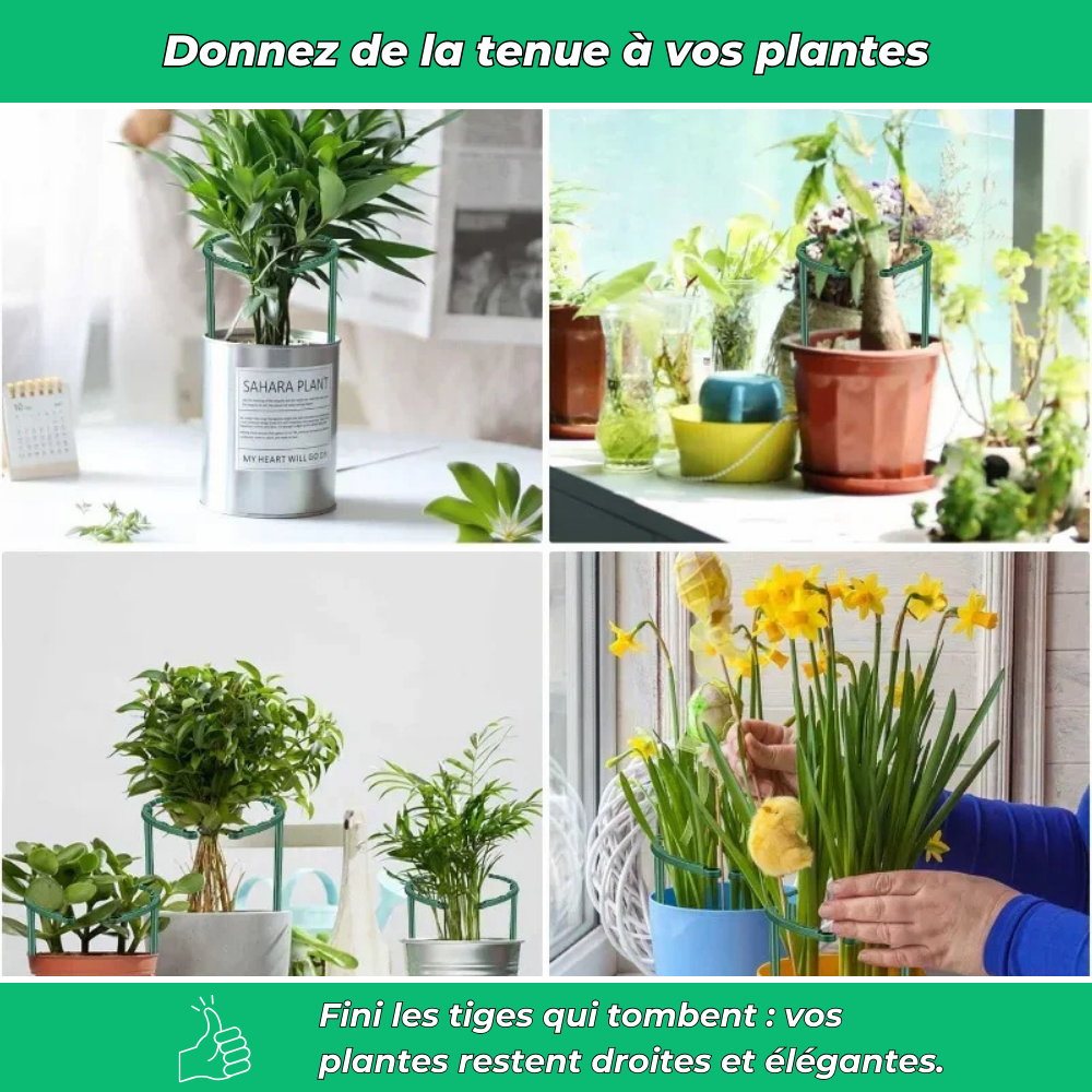 Anneaux de Support Flexibles pour Plantes – Support Ajustable pour Croissance des Plantes